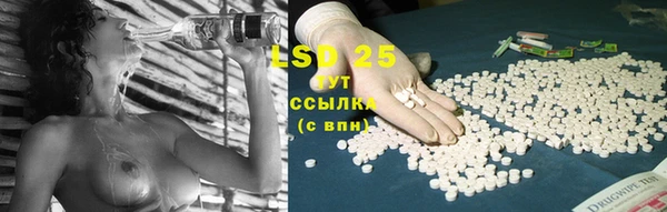 прущие грибы Балабаново