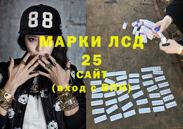 прущие грибы Вуктыл