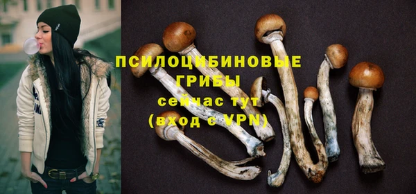 эйфоретик Балахна
