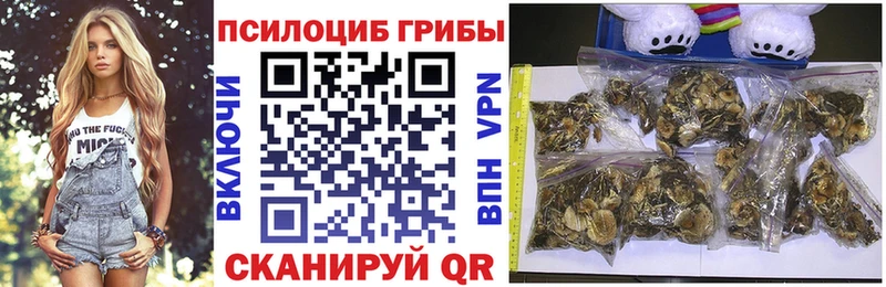 где купить   Сухой Лог  Галлюциногенные грибы ЛСД 